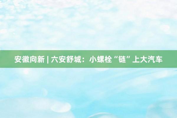 安徽向新 | 六安舒城：小螺栓“链”上大汽车