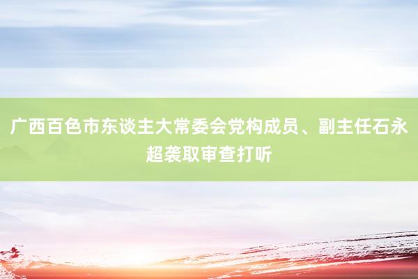 广西百色市东谈主大常委会党构成员、副主任石永超袭取审查打听